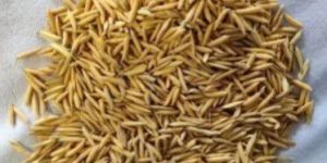 Natural Brown Paddy Rice Dhan