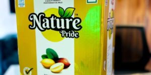 Groundnut Oil