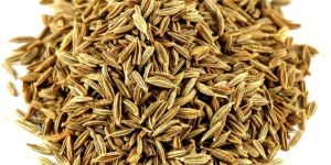 Cumin Seeds