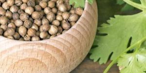 Coriander Seeds