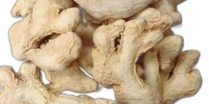 Dried Ginger