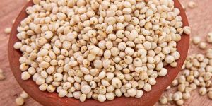Jowar Seeds