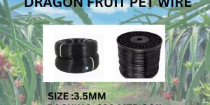 DRAGON FRUIT PET WIRE