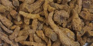 Organic Turmeric Fingers