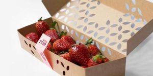 Fruit Packaging Box