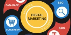 Social Media Optimization