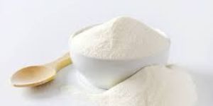 Whole Milk Powder