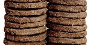 Dried Cow Dung Cakes
