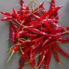 Dry Red Chilli