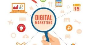 Social Media Management Services