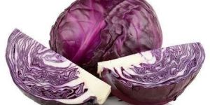 Fresh Red Cabbage