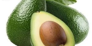 Green Fresh Avocado