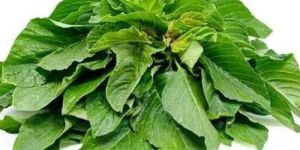 Green Amaranth Mulai Keerai Leaves