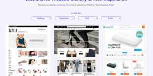 Ecommerce Web Design Services
