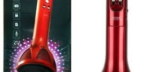 Wster Wireless Microphone Hifi Speaker