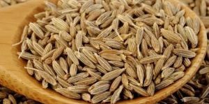 Cumin Seeds