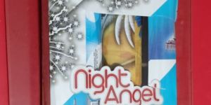 Jaya Ruby Night Angel Double Sky Shot Crackers