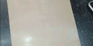 Brown Paper Envelope