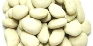 Lima Beans