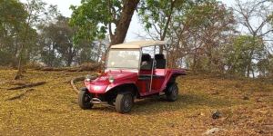 Electric Golf Cart