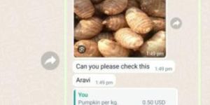 Yam