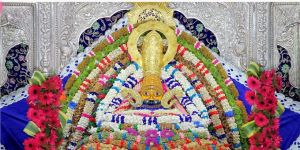 Web Portal Development