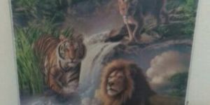 Wild Animal Paintings