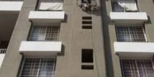 Company Work Bird Netting Service