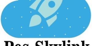 Business IT Services