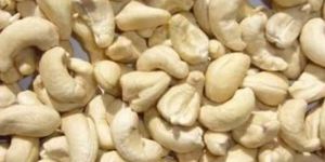 W450 Cashew Nuts