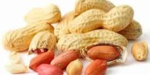Peanut