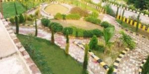 Real Estate Services