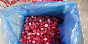 Frozen Scooped Strawberry