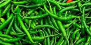Fresh Green Chilli