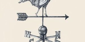 Wind Vane Cock