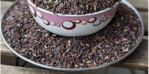 Organic Black Rice