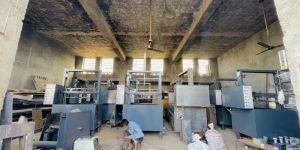 Apple and Egg Tray Machine