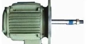 Cooling Tower Motor