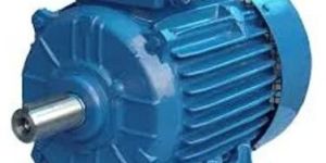 Low Voltage AC Motor