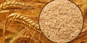 Wheat Bran