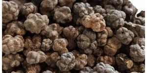 Dried Noni Fruit