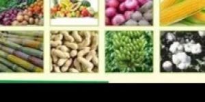 Highly Enriched Fermented Liquid Organic Manure