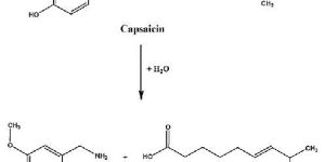 Capsaicin Acid