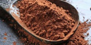 Cocoa Powder