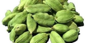 Green Cardamom Flavor