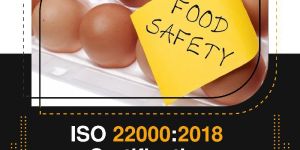 ISO 22000 Certification in Sonipat