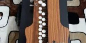 Electronic Master Banjos