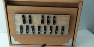 Shruti Box