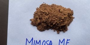 Mimosa ME Powder