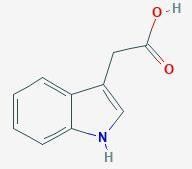 Indole-3-acetic Acid